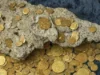 Uang Koin Kuno Termahal yaitu Keping Emas Sriwijaya, Rahasia Harta Karun Koin Kuno Abad ke-7