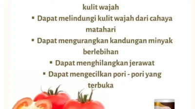 5 Manfaat Jus Tomat, Bisa Mencegah Kanker Loh!