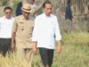 Panen Padi di Subang, Jokowi Sebut Cadangan Beras di Bulog Masih Kurang