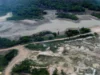 Kekeringan Sungai Amazon. (Sumber Gambar: www.dw.com)
