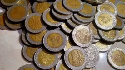 Tahun Pembuatan Uang Koin 1.000 Kelapa Sawit (Image From: Shopee/Sweetee.officia)