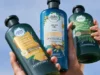 Rekomendasi 5 Herbal Essence Shampoo yang Mampu Atasi Masalah Rambut dengan Cepat (image from Herbal Essence)