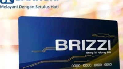Cara Top Up Saldo Brizzi Dengan Mudah dan Praktis, 1 Menit Saldo Langsung Masuk (image from website Bank BRI)