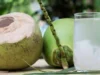 manfaat buah kelapa