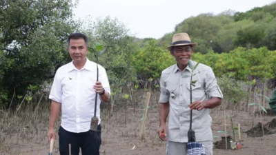Tanam Mangrove di Pantai Pondok Bali Subang, Jimat dan PJ Gubernur Jabar Kompak Ingin Sehatkan DAS