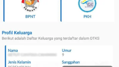 Cara Mengecek Bansos PKH Lewat HP 2023(play.google.com)