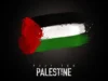 Kumpulan Doa untuk Palestina