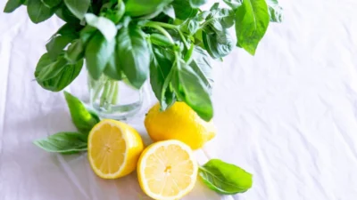Beragam Manfaat Lemon untuk Wajah, Bikin Kulit Makin Kinclong (Image From: Pexels/Elle Hughes)