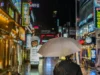 Bikin Pengen Pindah, Kaum Introvert di Korea Selatan Dapat Cuan Rp7,6 Juta per Bulan (Image From: Pexels/Ethan Brooke)