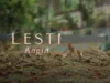 Lirik Lagu Angin Lesti Kejora, Single Terbaru yang Berkisah Tentang Rindu Mendalam (Image From: YouTube/3D Entertainment)