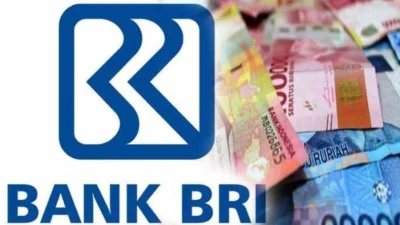 Pinjaman Bank BRI 100 Juta Non KUR Terbaru 2024