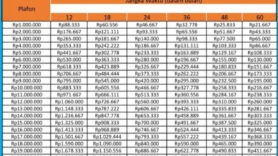 Tabel Pinjaman Bank BRI Non KUR Terbaru 2024