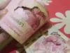 Video Viral Uang Tabungan Dimakan Rayap. (Sumber Gambar: Tangkapan Layar via akun TikTok @ryanadiyono)