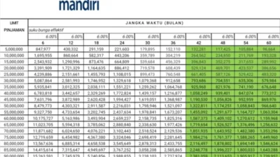 Tabel Angsuran Pinjaman Bank Mandiri 100 Juta Non KUR 2024