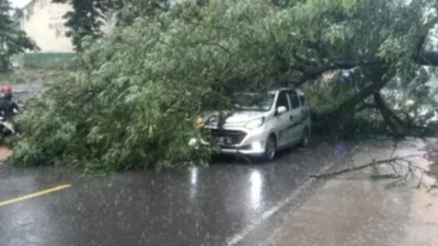 Pohon Tumbang Timpa Mobil Akibat Hujan Deras di KBB, Beruntung Penumpang Selamat