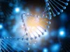 Struktur DNA Manusia