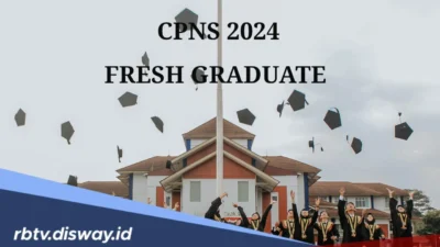 Update Terbaru, Rekrutmen CPNS 2024 untuk Lulusan SMA/SMK