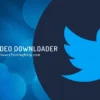 Cara Mudah Download Video Twitter di iPhone, Android, dan PC (MP4 HD)