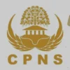 Peluang Karier Menjanjikan: Daftar Formasi CPNS 2024 untuk Lulusan S1 Semua Jurusan