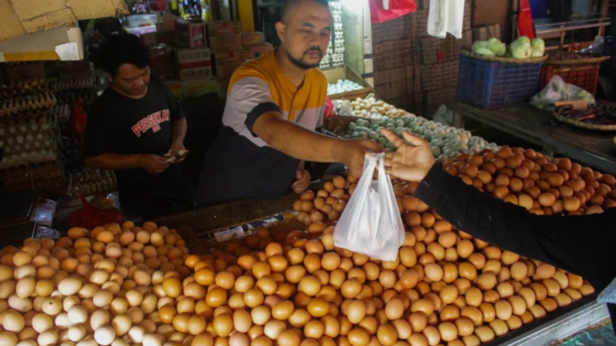 Harga Telur Ayam di Bandung Masih Mengalami Kenaikan di Saat Harga Pokok Lain Mengalami Penurunan