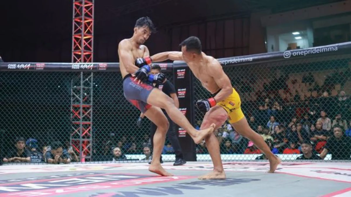 7 Seni Beladiri yang Sering di Gunakan Dalam Pertarungan MMA (Sumber Foto Detiksport.com)