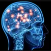 Profesional Ahli Neurosains Ungkap Penemuan Baru Gelombang Otak Manusia!