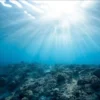 Mengintip Dunia Bawah Laut: Challenger Deep, Titik Terdalam di Bumi yang Belum Tersentuh